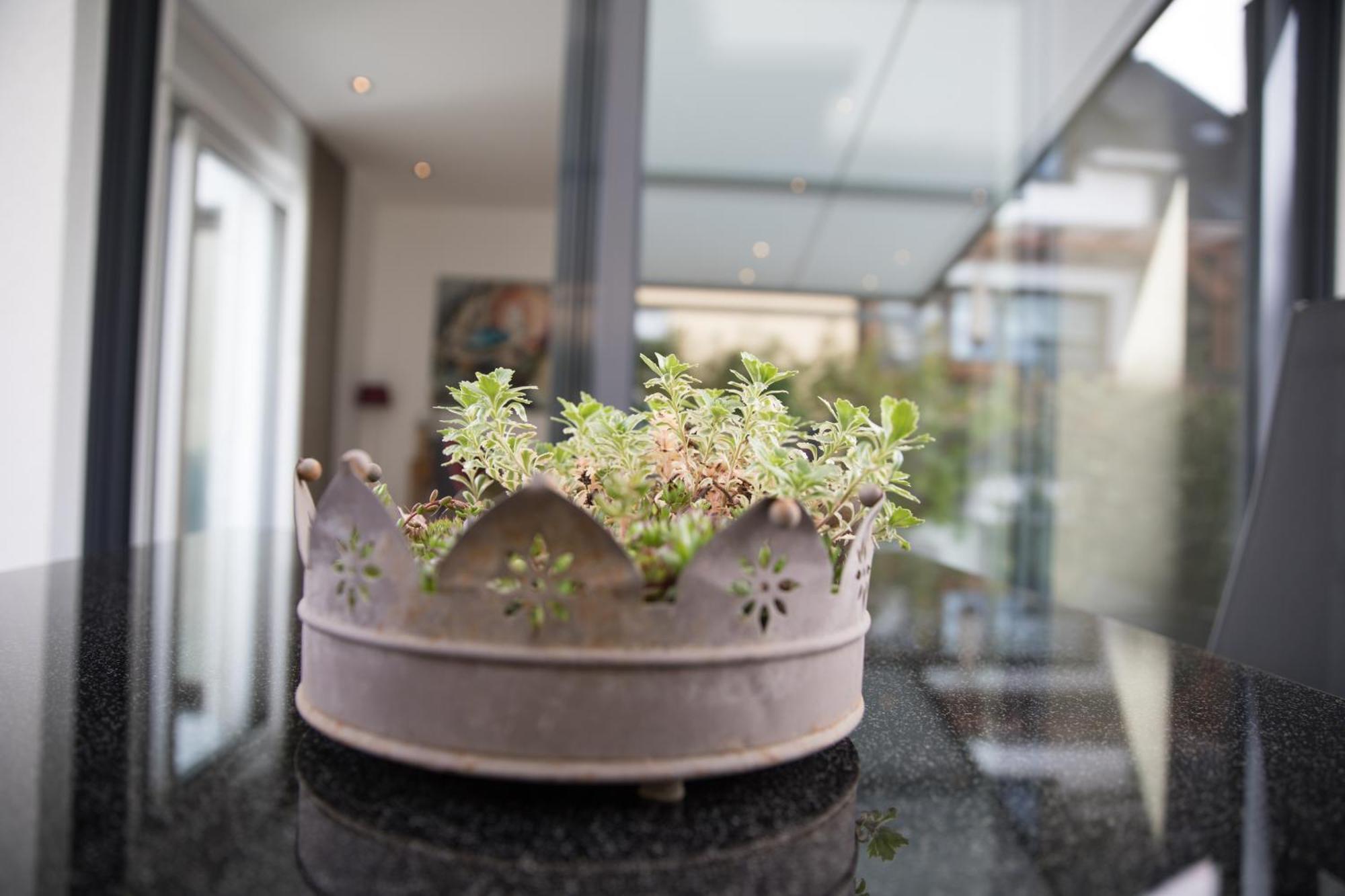 Neu - Moselauszeit Traben Apartment Exterior foto