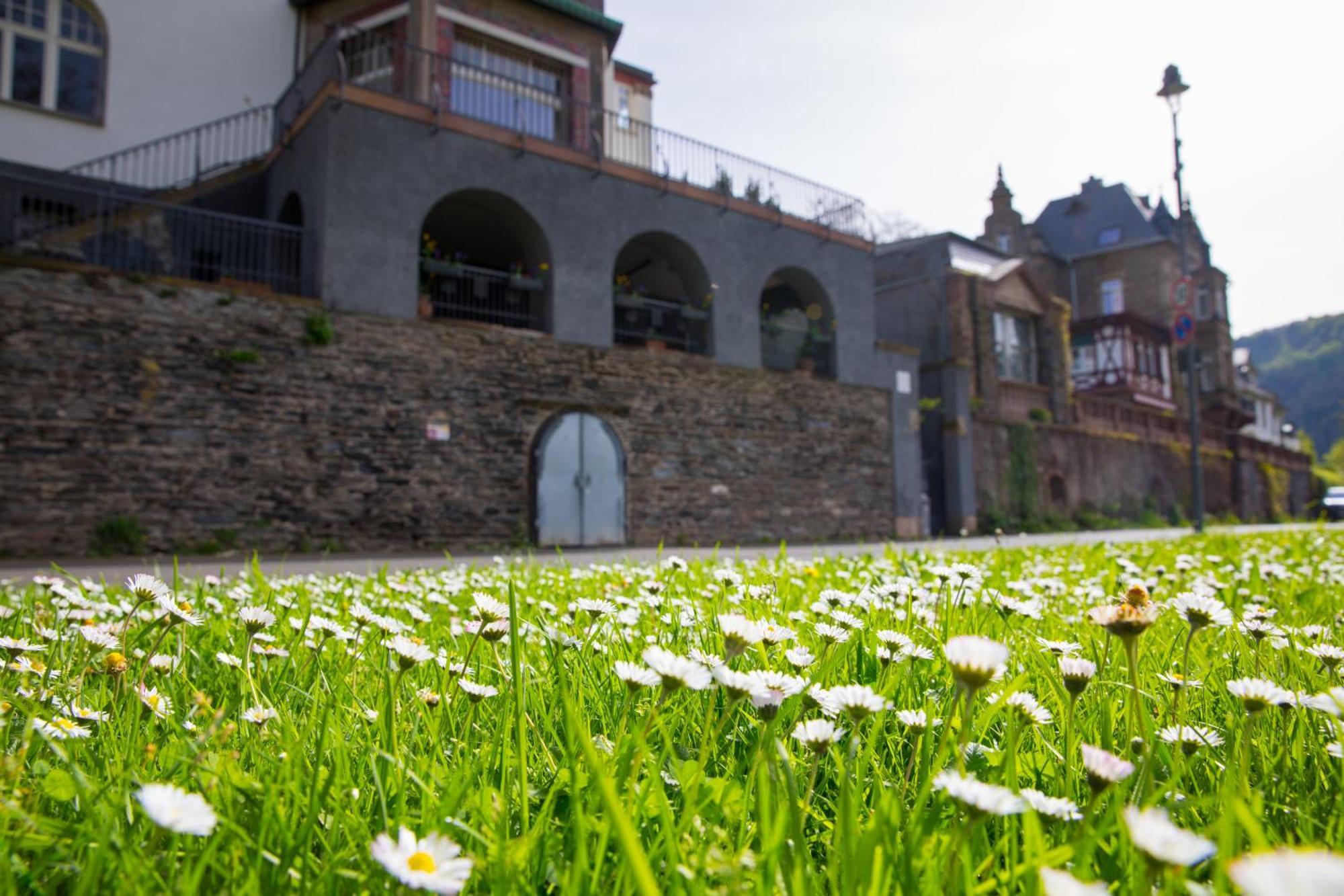 Neu - Moselauszeit Traben Apartment Exterior foto